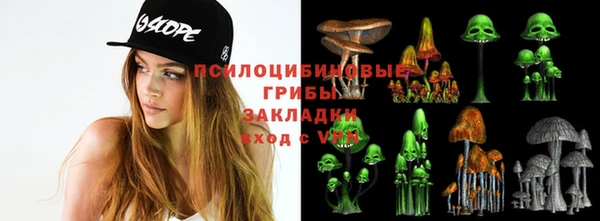 MDMA Горнозаводск