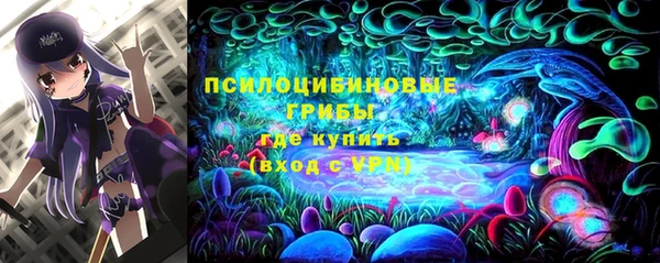 MDMA Горнозаводск