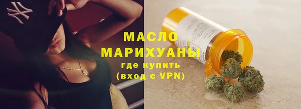 сатива Горняк