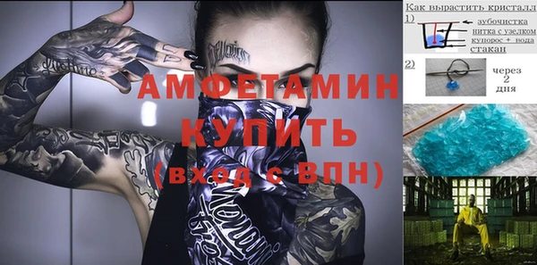 сатива Горняк