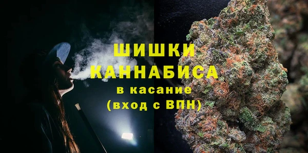 сатива Горняк