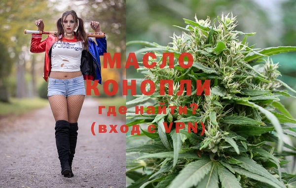 сатива Горняк