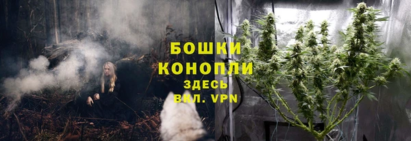 MDMA Горнозаводск