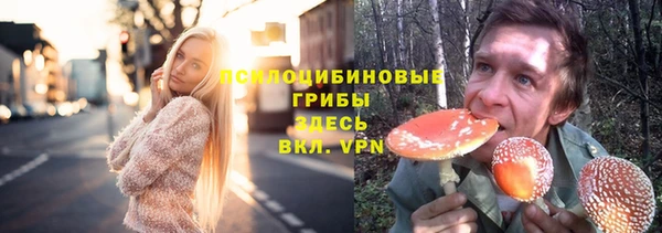 MDMA Горнозаводск