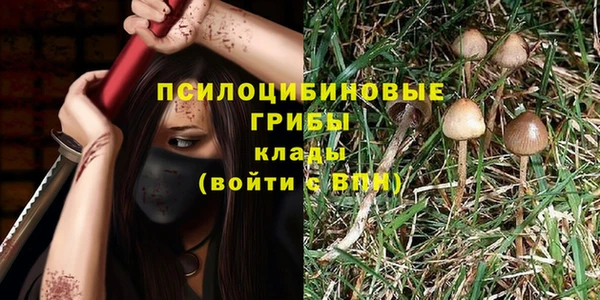 MDMA Горнозаводск