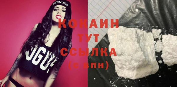 сатива Горняк