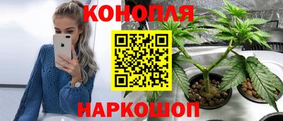 ПСИЛОЦИБИНОВЫЕ ГРИБЫ Изобильный