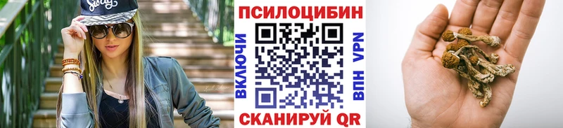 Псилоцибиновые грибы мицелий  Наро-Фоминск 