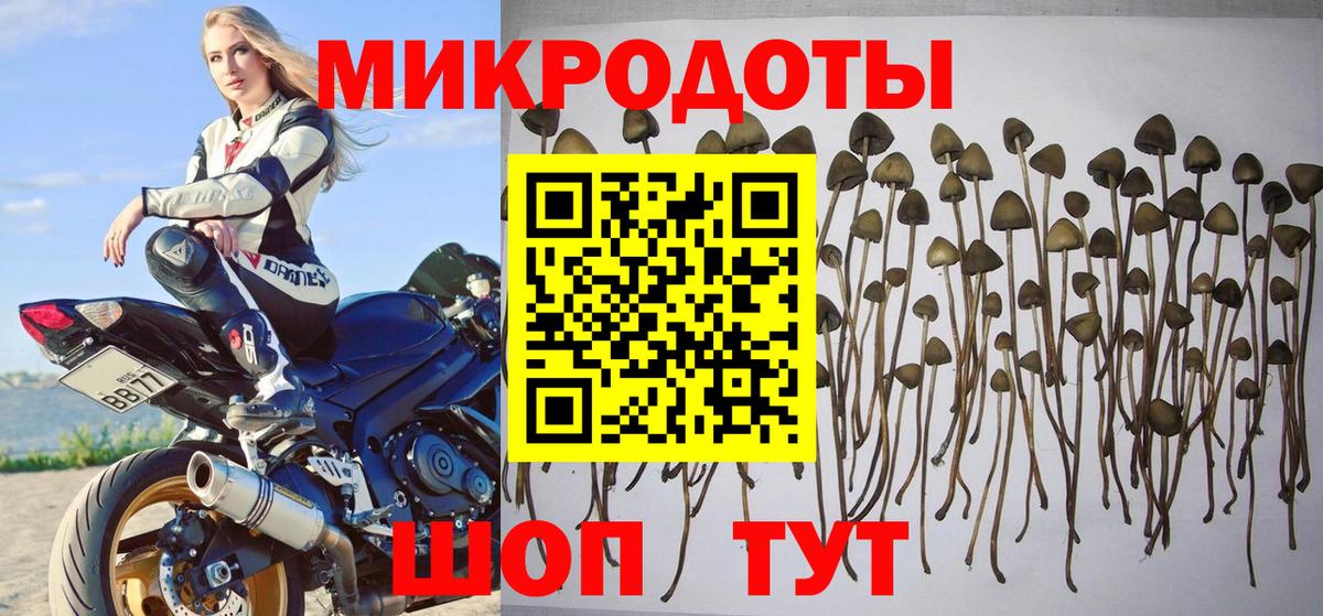 Галлюциногенные грибы Cubensis  Наро-Фоминск  магазин продажи наркотиков  Галлюциногенные грибы GOLDEN TEACHER 
