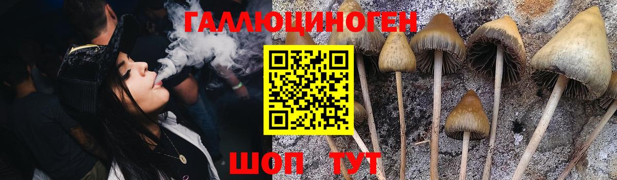Галлюциногенные грибы прущие грибы  Псилоцибиновые грибы Psilocybe  Наро-Фоминск  Вход с VPN 