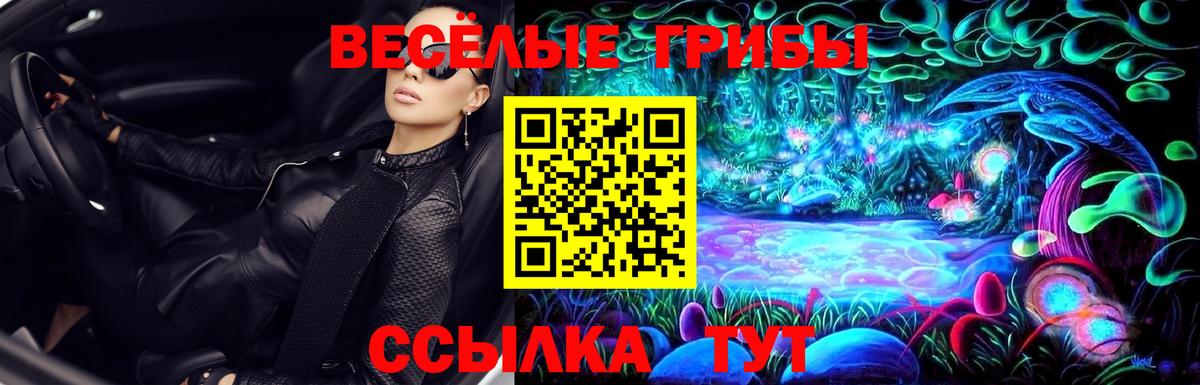 Галлюциногенные грибы Psilocybine cubensis Наро-Фоминск